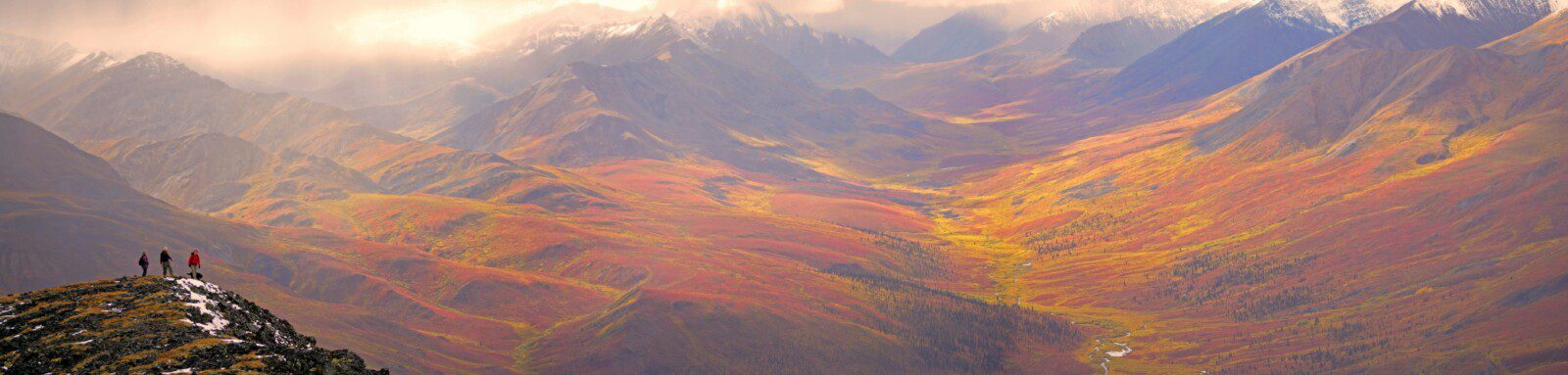 autumn colours, Tombstone Mountains